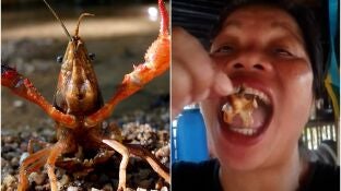 Imagen de archivo de un cangrejo rojo | La influencer comiendo en un v&iacute;deo para su canal