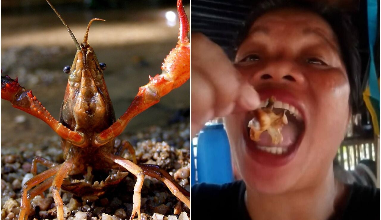 Imagen de archivo de un cangrejo rojo | La influencer comiendo en un v&iacute;deo para su canal