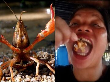Imagen de archivo de un cangrejo rojo | La influencer comiendo en un v&iacute;deo para su canal
