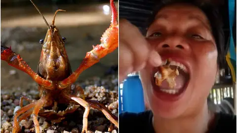 Imagen de archivo de un cangrejo rojo | La influencer comiendo en un vídeo para su canal Imagen de archivo de un cangrejo rojo | La influencer comiendo en un vídeo para su canal