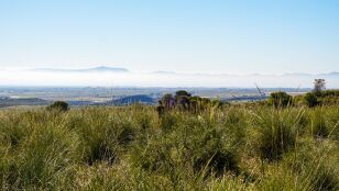 Imagen de archivo de campo