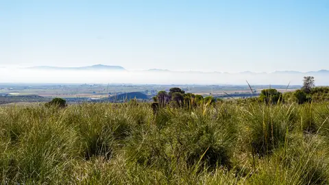 Imagen de archivo de campo mangolink-murcia-4913409_1280