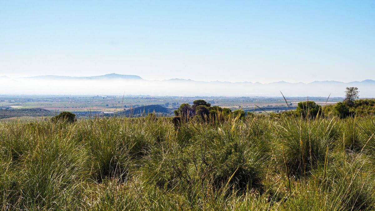 Salma escapa tras dos años secuestrada por su novio con palizas y violaciones en una casa de la huerta de Murcia