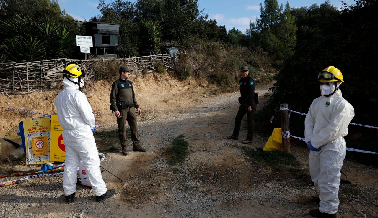 Imagen de dos miembros de los Agentes Rurales de la Generalitat y dos de las Agrupacions de Defensa Forestal 