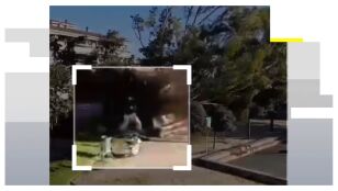 Momento que un &aacute;rbol cae junto a una mujer en Barcelona