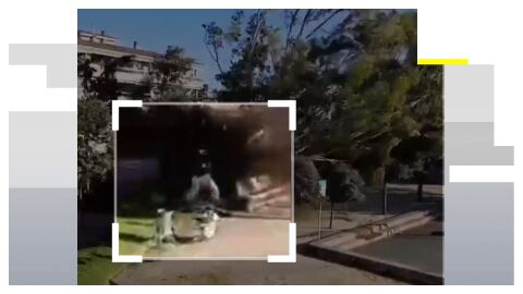 Momento que un &aacute;rbol cae junto a una mujer en Barcelona