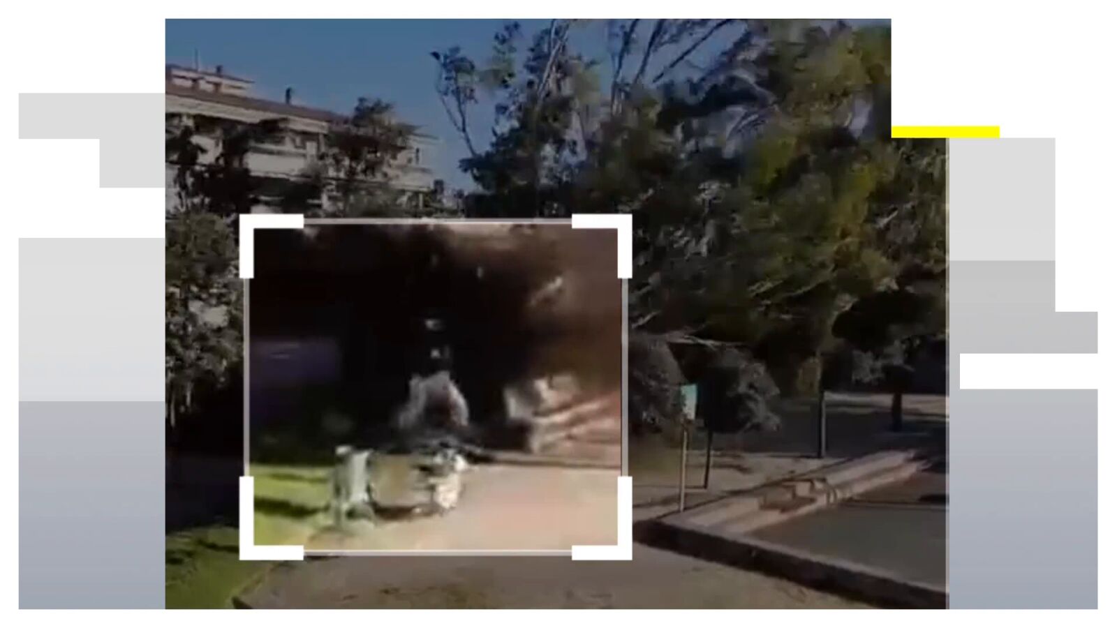 El momento en que un árbol cae derribado por el viento en Barcelona justo cuando una mujer paseaba con su perro