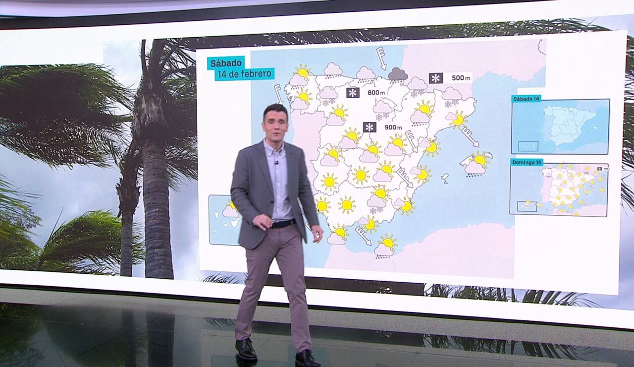 C&eacute;sar Gonzalo