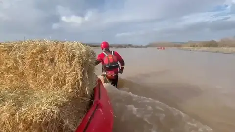 La borrasca Oriana pierde fuerza, pero mantiene en alerta a 11 comunidades por viento y fuerte oleaje La borrasca Oriana pierde fuerza, pero mantiene en alerta a 11 comunidades por viento y fuerte oleaje