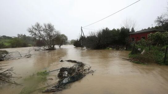 Temporal