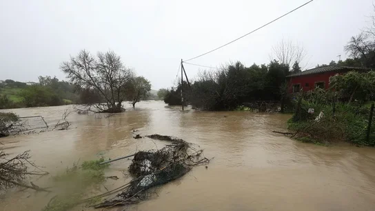 Temporal Temporal