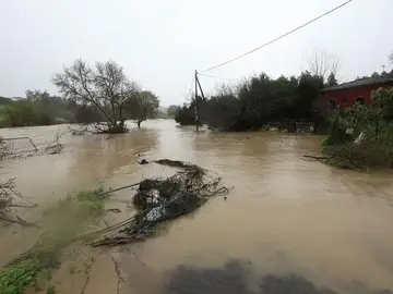 Temporal Temporal