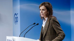 La vicesecretaria de Sanidad y Pol&iacute;tica Social, Carmen F&uacute;nez
