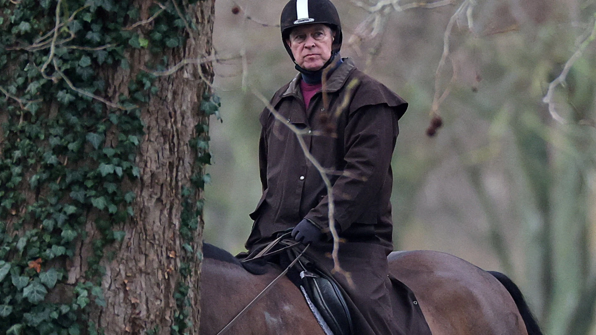 Andrew Mountbatten Windsor monta a caballo en Windsor Great Park, cerca de Royal Lodge, el el 2 de febrero de 2026. Andrew Mountbatten Windsor monta a caballo en Windsor Great Park, cerca de Royal Lodge, el el 2 de febrero de 2026.