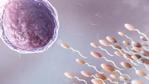 Óvulo y espermatozoides Óvulo y espermatozoides