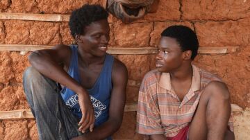 Viaje al pa&iacute;s de los blancos