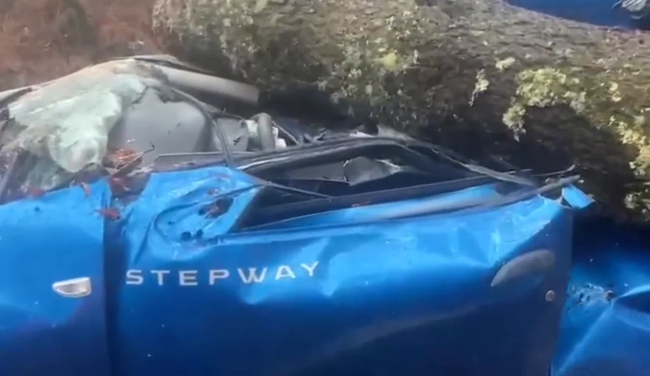 Una joven sobrevive a la caída de un pino en su coche.