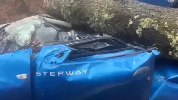 Una joven sobrevive a la caída de un pino en su coche. Una joven sobrevive a la caída de un pino en su coche.