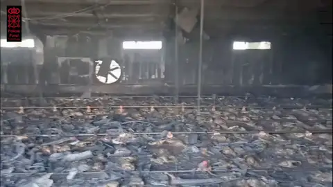 Duras imágenes: 10.000 pollos mueren calcinados en un incendio de una nave avícola en Villafranca, Navarra Duras imágenes: 10.000 pollos mueren calcinados en un incendio de una nave avícola en Villafranca, Navarra