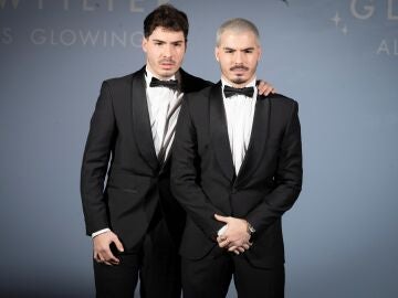 Imagen de los Gemeliers