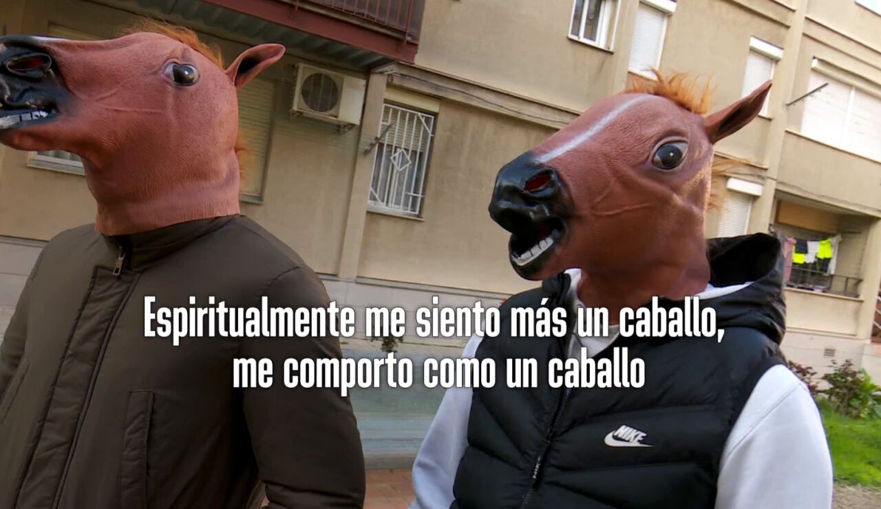 As&iacute; son los 'therian'.