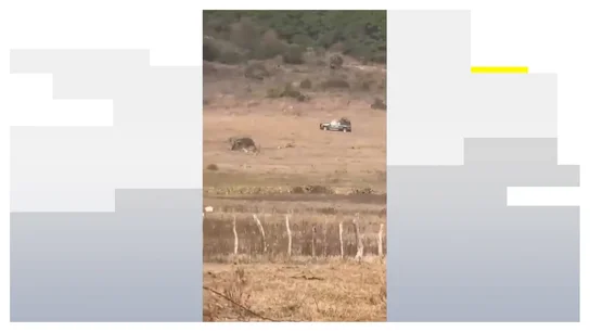 El momento en el que abaten a El 'Mencho' El momento en el que abaten a El 'Mencho'