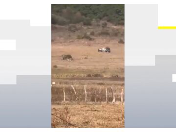 El momento en el que abaten a El 'Mencho'