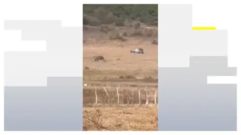 El momento en el que abaten a El 'Mencho' El momento en el que abaten a El 'Mencho'