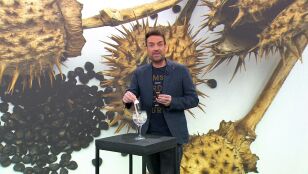 Venta online burundanga