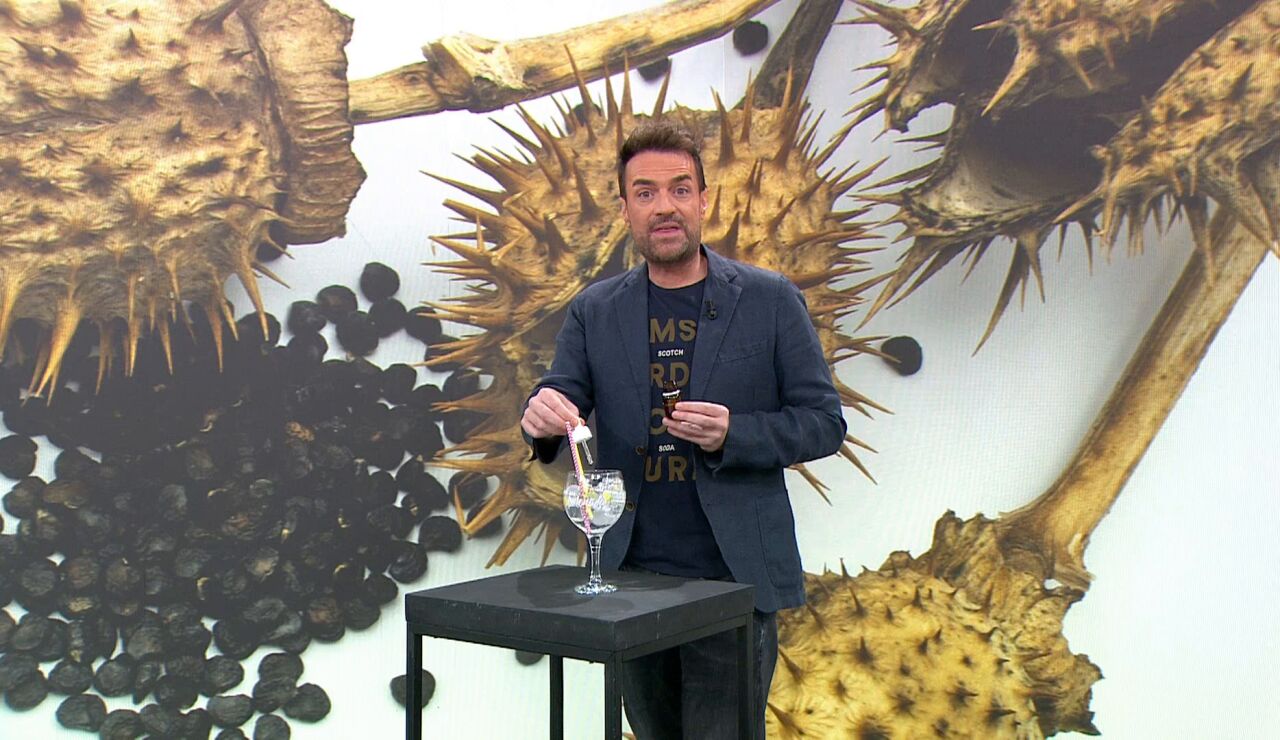 Venta online burundanga