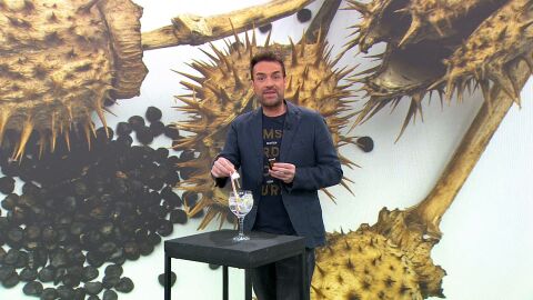 Venta online burundanga