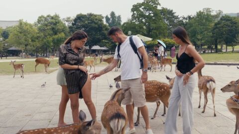 &ldquo;Me ha mordido con malaje&rdquo;: la estresante experiencia de Susana Saborido con los ciervos sagrados 