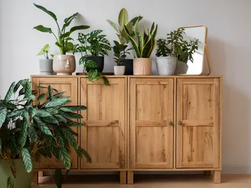 Mueble de madera con vegetación decorativa Mueble de madera con vegetación decorativa
