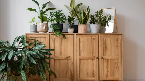 Mueble de madera con vegetación decorativa Mueble de madera con vegetación decorativa