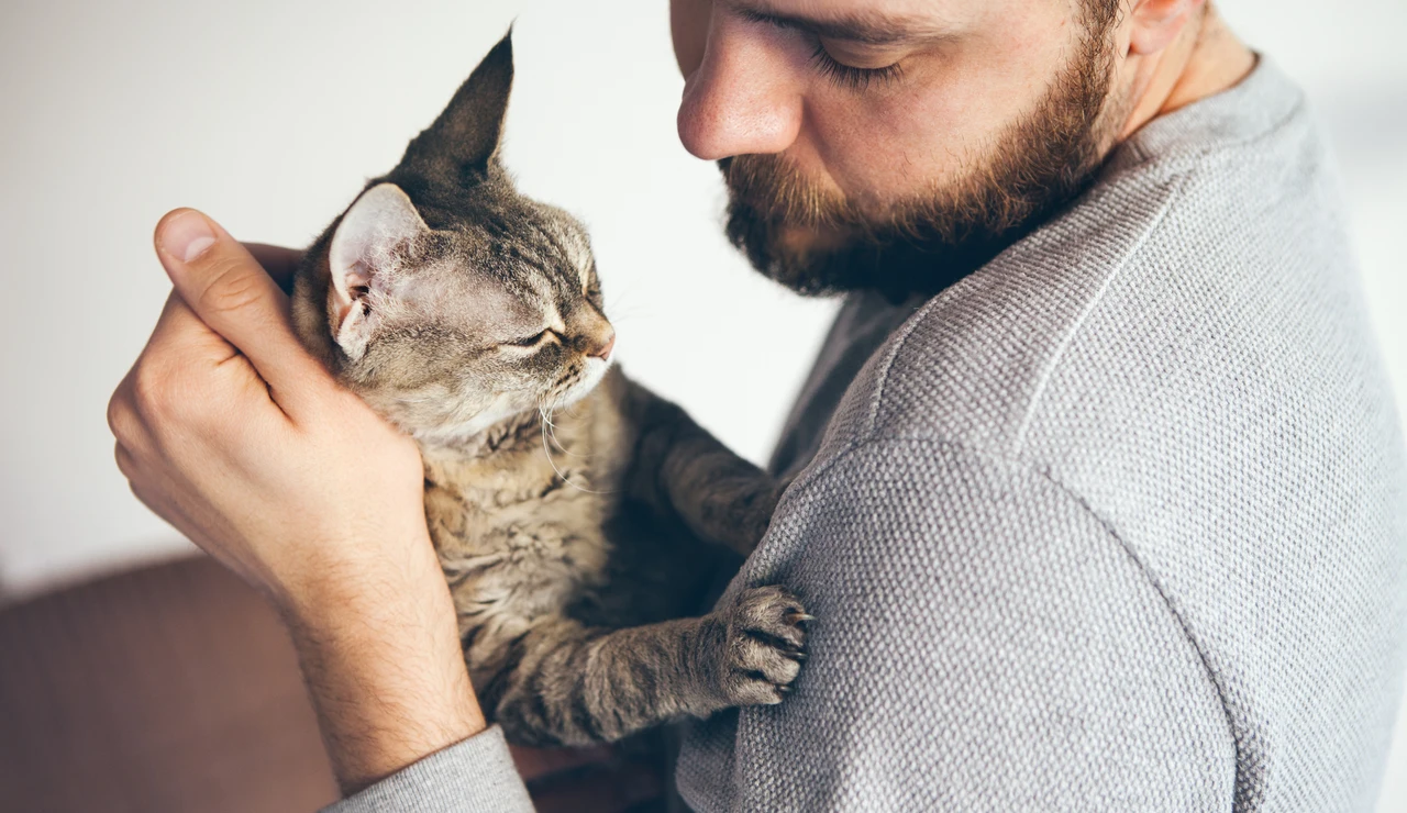 Un gato con su dueño