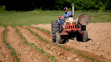 Agricultores alertan de subida del 40% del gasóleo agrícola y avisan del impacto en la cesta de la compra Agricultores alertan de subida del 40% del gasóleo agrícola y avisan del impacto en la cesta de la compra