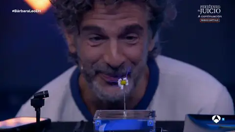 "Es una auténtica belleza": Bárbara Lennie y Leonardo Sbaraglia, boquiabiertos con el 'concierto eléctrico' de Marron "Es una auténtica belleza": Bárbara Lennie y Leonardo Sbaraglia, boquiabiertos con el 'concierto eléctrico' de Marron