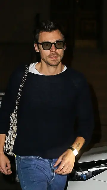 Harry Styles Harry Styles