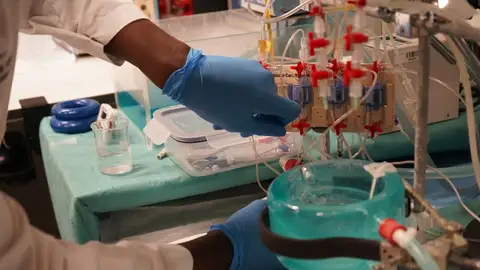 Investigadores del Hospital Vall d’Hebron Institut de Recerca Investigadores del Hospital Vall d’Hebron Institut de Recerca