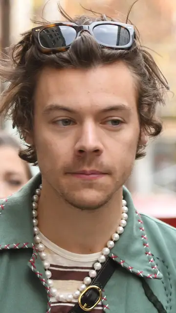 Harry Styles Harry Styles
