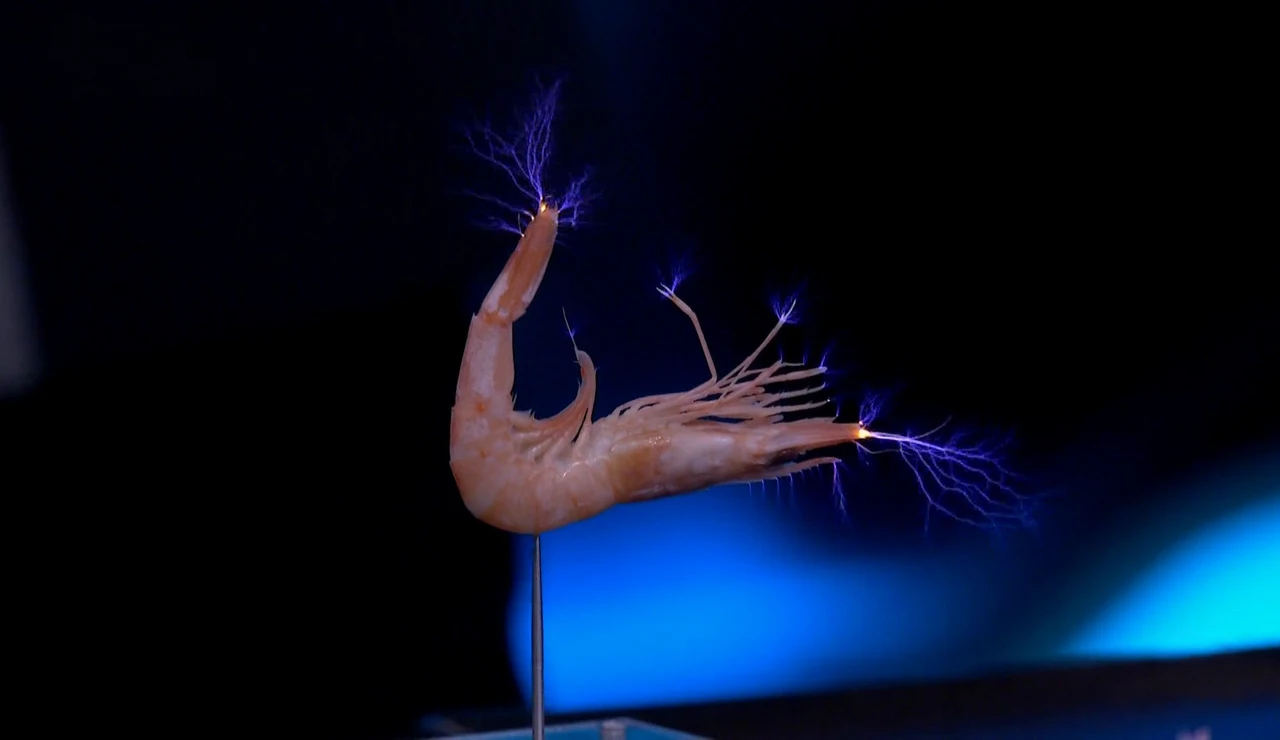 "Es una auténtica belleza": Bárbara Lennie y Leonardo Sbaraglia, boquiabiertos con el 'concierto eléctrico' de Marron