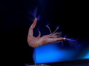 "Es una aut&eacute;ntica belleza": B&aacute;rbara Lennie y Leonardo Sbaraglia, boquiabiertos con el 'concierto el&eacute;ctrico' de Marron