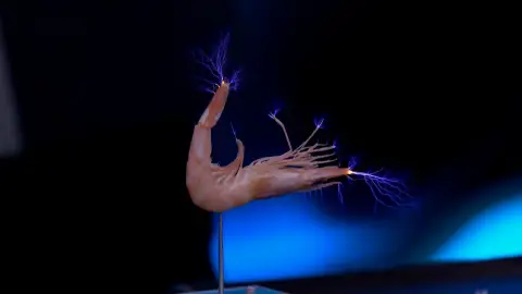 "Es una auténtica belleza": Bárbara Lennie y Leonardo Sbaraglia, boquiabiertos con el 'concierto eléctrico' de Marron "Es una auténtica belleza": Bárbara Lennie y Leonardo Sbaraglia, boquiabiertos con el 'concierto eléctrico' de Marron