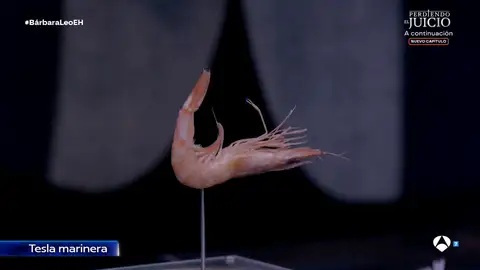 "Es una auténtica belleza": Bárbara Lennie y Leonardo Sbaraglia, boquiabiertos con el 'concierto eléctrico' de Marron "Es una auténtica belleza": Bárbara Lennie y Leonardo Sbaraglia, boquiabiertos con el 'concierto eléctrico' de Marron