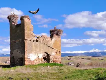 Los Huertos Los Huertos