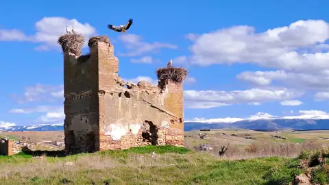 Los Huertos Los Huertos