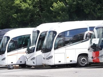 Varios autobuses de una empresa de transportes de Guip&uacute;zcoa en una imagen de archivo