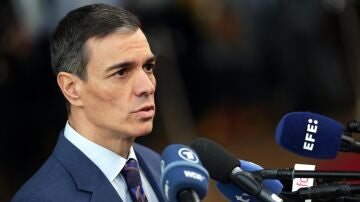 Pedro S&aacute;nchez