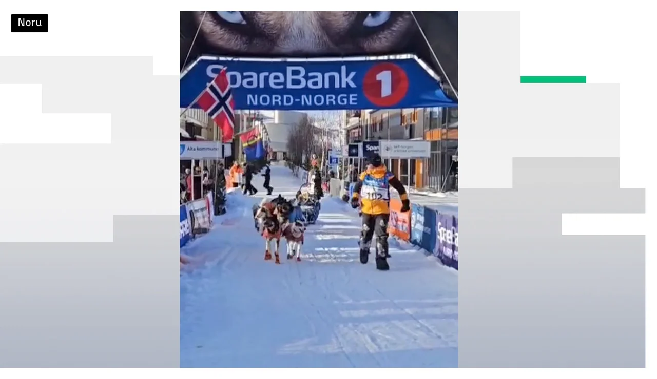 Baltasar Gallardo, primer español en terminar la Finnmarkslopet 600