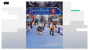 Baltasar Gallardo, primer español en terminar la Finnmarkslopet 600 Baltasar Gallardo, primer español en terminar la Finnmarkslopet 600